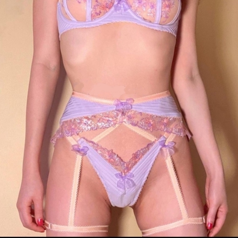 3 PC For Love And Lemons Ophelia Lilac and Blush Iridescent Lace Bra Set - Picture 5 of 14
